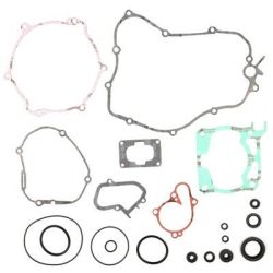 Complete Gasket Kit Prox...