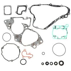 Complete Gasket Kit Prox...