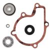 Water Pump Rebuild Kit Prox Polaris Sportsman 550 11-14