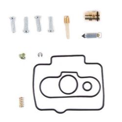 Carburetor Rebuild Kit Prox...