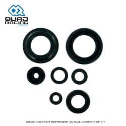 QR Oil Seal Set Suzuki LTZ 400