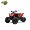 CFMOTO CFORCE 110 VERMELHO