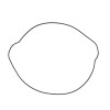 Clutch Cover Gasket Prox KTM SX-F250/SX-F350 16-22