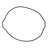 Clutch Cover Gasket Prox KTM SX-F250 05-12 EXC-F250 05-13