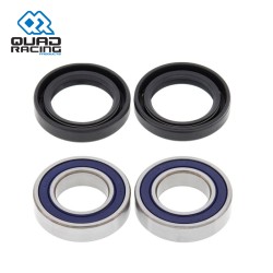 Front Wheel Bearing QR Set TRX400EX 99-01