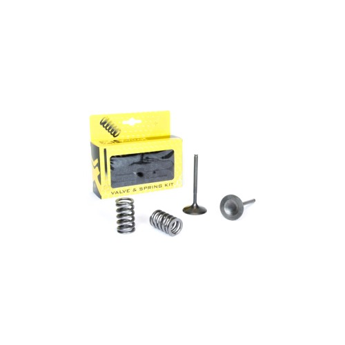 Intake Valve Spring Kit Prox KX250F 07-08