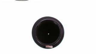 Filtro Ar TwinAir Honda TRX400 EX/X 1999-2014