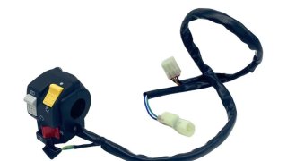 Interruptor Luz Quadracing TRX 400 99-04