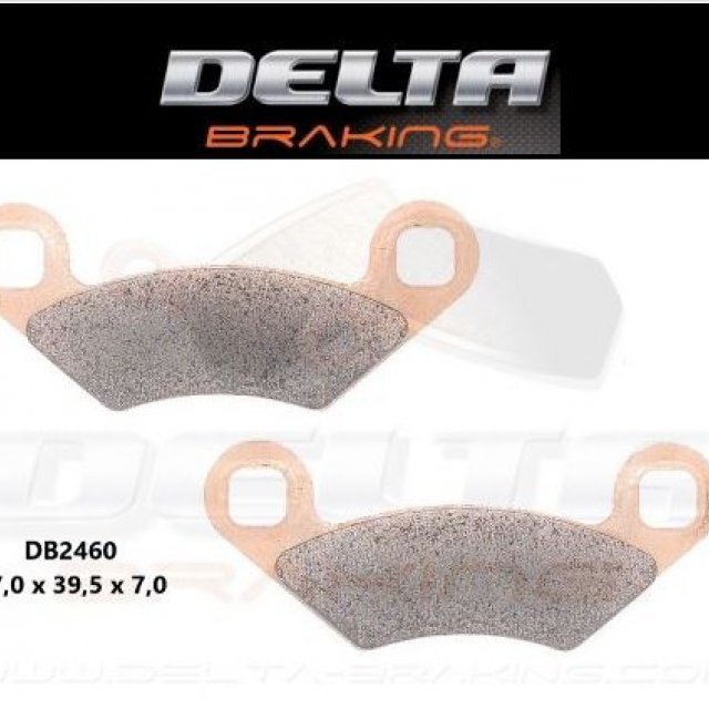 Pastilhas de Travão Trás Delta Braking POLARIS